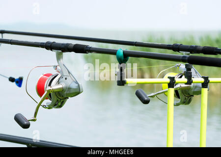 Angler Stangen am Plattensee, Ungarn Stockfoto