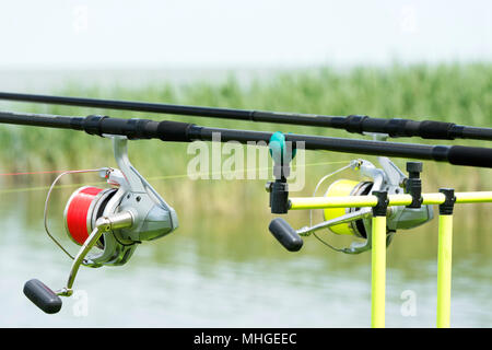 Angler Stangen am Plattensee, Ungarn Stockfoto