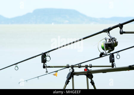 Angler Stangen am Plattensee, Ungarn Stockfoto