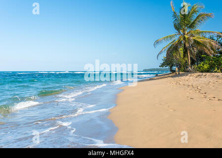 Punta Uva-Strand in Costa Rica, wilden und schönen karibischen Küste Stockfoto