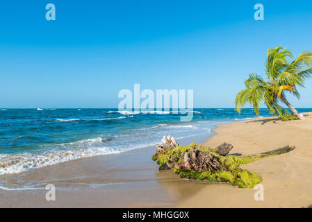 Punta Uva-Strand in Costa Rica, wilden und schönen karibischen Küste Stockfoto