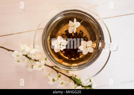 Frühling Blumen der blühenden Frühling Apfelbaum - Natural spring flower background in vintage Pastelltöne. Tasse Tee mit Frühling Landschaft mit Feder Stockfoto