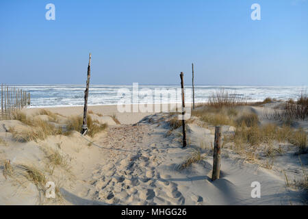 Schwebende und Eisgang im Winter bei Wadddenzee, Insel Texel in Holland. Europa. Stockfoto