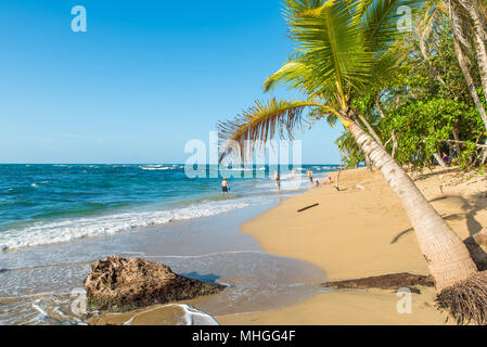 Punta Uva-Strand in Costa Rica, wilden und schönen karibischen Küste Stockfoto