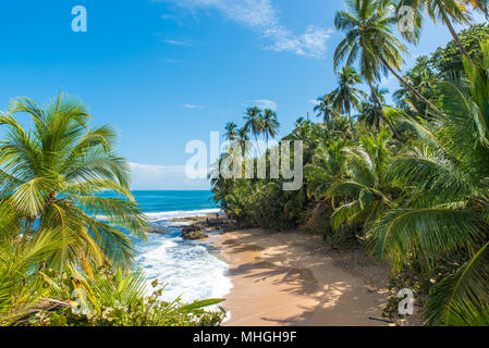 Wilde Karibik Strand von Manzanillo in Puerto Viejo, Costa Rica Stockfoto