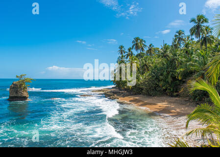 Wilde Karibik Strand von Manzanillo in Puerto Viejo, Costa Rica Stockfoto