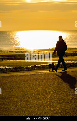 Wales, Großbritannien Wetter - einen kalten klaren Start in den Tag für viele heute mit Temperaturen knapp über Null in den Teilen von North Wales. Sonnenaufgang über der Irischen See und Llandudno Promenade als am frühen Morgen Dog Walker nimmt ein Spaziergang an der Küste von Llandudno Stockfoto