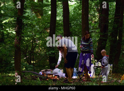 Serbien, in Novi Sad 01.05.2018 Internationale Arbeiter Tag in Serbien im Nationalpark Fruška Gora. In Serbien Dies ist die nationale Urlaub so serbische Arbeiter haben einen Tag weg und es in der Natur zu verbringen. es becam Tradition, vielleicht zuerst mit Grill in der Natur gefeiert wird. Grillen mit der Familie oder eine große Gruppe von Freunden mit viel Fleisch und viel Alkohol. Credit: Nenad Mihajlovic/Alamy leben Nachrichten Stockfoto