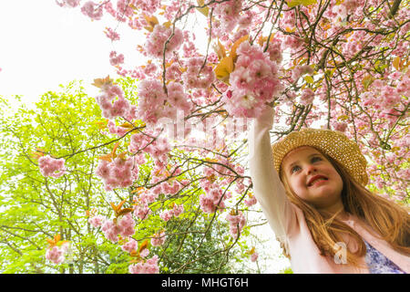 4-jähriges Mädchen im Park im Frühling mit einer Blüte Baum Blumen Stockfoto