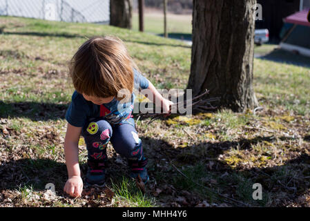 3-Jähriges Mädchen Picking Up Sticks in einem Hof, an einem warmen Sommertag. Stockfoto