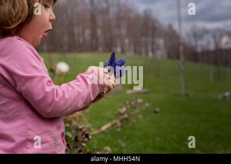 Ein kleines Mädchen hält einen Strauß lila Hyazinthen Blumen im Frühjahr. Stockfoto