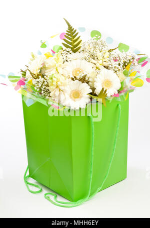 Ein hellgrün Beutel gefüllt mit cremefarbenen Blüten Stockfoto