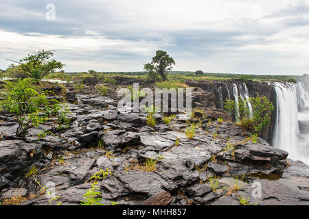 Victoria Falls aus dem Livingstone Insel, benannt nach dem schottischen Entdecker David Livingstone Stockfoto