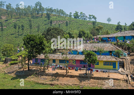Unterkunft für Wohnsiedlung Arbeiter auf einer Teeplantage in der Nähe von Valparai in Tamil Nadu, Indien. Stockfoto