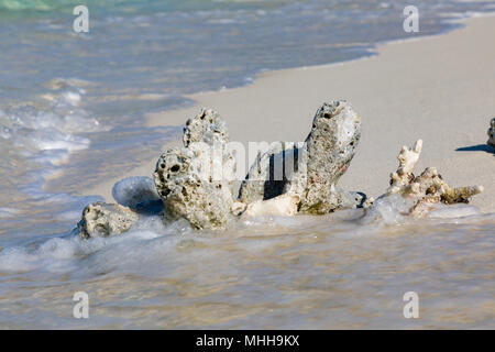 Weiße Insel Camiguin Philippinen April 23, 2018 der schönen Kulisse der Weißen Insel Stockfoto