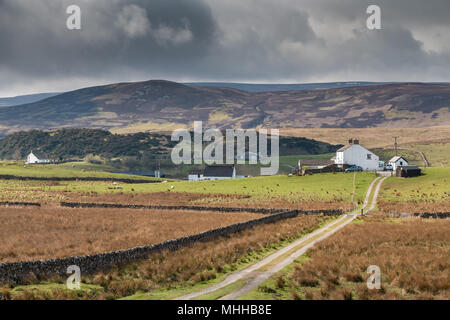 North Pennines Landschaft, auf Cronkley sank von Hanging Shaw, Teesdale, Großbritannien Stockfoto