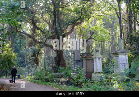 Ein Mann, der seinen Hund im Frühjahr, Tower Hamlets Friedhof Park, Mile End, East London UK. Einer der glorreichen Sieben Grand Victorian Grabstätten. Stockfoto