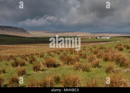 North Pennines Landschaft, in Richtung Cronkley Narbe und Widdybank sank von Hanging Shaw, Teesdale, Großbritannien Stockfoto