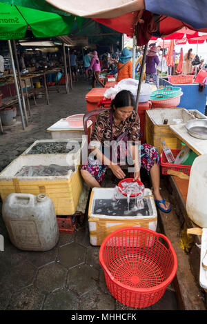 Fischhändler sortieren Oktopus auf dem berühmten Krabbenmarkt von Krong Kaep, Provinz Kep, Kambodscha, Reiseziel, Tourismus in Asien, vertikale Ansicht Stockfoto