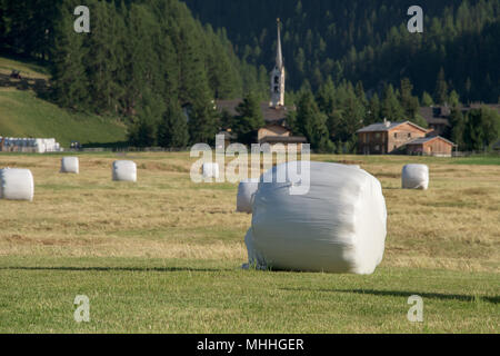 Geerntete Futter Kugeln in der Schweiz Stockfoto