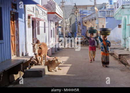 Zwei Frauen mit Kunststoff Körbe auf dem Kopf zu Fuß die Straße hinunter, vorbei an Kühen in der Sonne entspannen. Bundi, Rajasthan. Indien Stockfoto