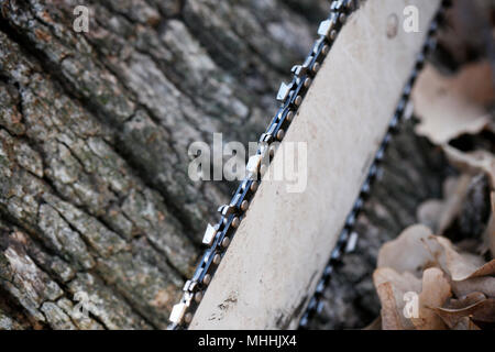 Nahaufnahme von CHAINSAW am Baum Hintergrund. Selektive konzentrieren. Stockfoto