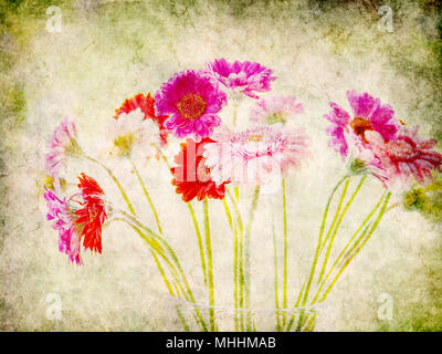 Daisy Flower Gerbera Strauß in eine Vase auf grunge Hintergrund Stockfoto