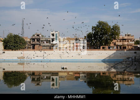 Sursagar See, Bikaner, Rajasthan. Indien Stockfoto