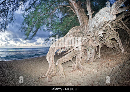 Sonnenuntergang am Ke'e Beach Kauai Island Hawaii Stockfoto