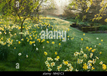 Felley Priory Gardens, Felley Priory, Underwood, Nottinghamshire, Großbritannien. Feder, April 2018. Stockfoto