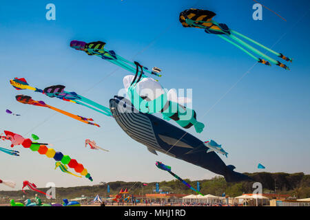 Viele bunte Drachen in verschiedenen Formen in Cervia international Kite festival" Artevento' 2018. Stockfoto