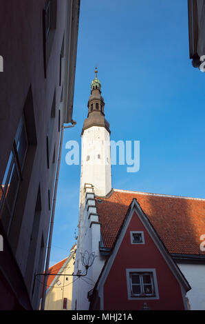 Heiligen Geist Kirche berufen auch Puhavaimu Kirik, es ist eine mittelalterliche Evangelische Kirche in der Altstadt von Tallinn, Estland Stockfoto