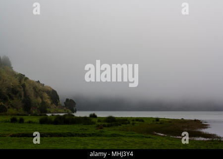Landschaft mit Nebel im Wald, See Stockfoto