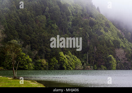 See vulkanischen Ursprungs, umgeben von Wald und Nebel Stockfoto