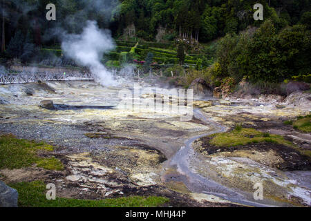 Dampf stieg von geothermischen heißen Quellen von Furnas, Azoren Stockfoto