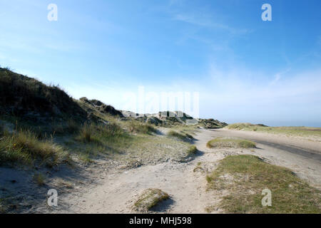 Dünen, mit Strand Gras gewachsen, auf einer Nordsee strand von Texel. Insel in Holland. Europa. Stockfoto