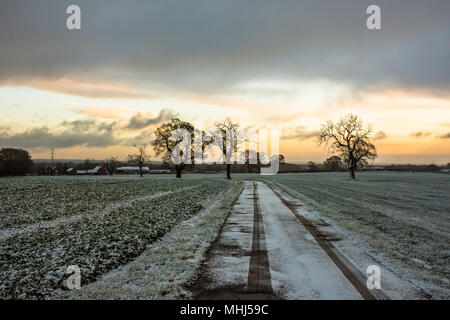 Sonnenaufgang über Staffordshire Felder im Winter. Lichfield, Großbritannien. Bäume, Felder bedeckt mit Frost und die dramatischen, dunklen Himmel mit Wolken bei Sonnenaufgang. Stockfoto