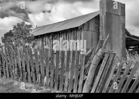 Hill End, Bathurst, New South Wales, Australien. Schwarz-weiß Foto von altem rostigem Eisen und Holz Tafel cottage in der historischen Goldgräberstadt Stockfoto