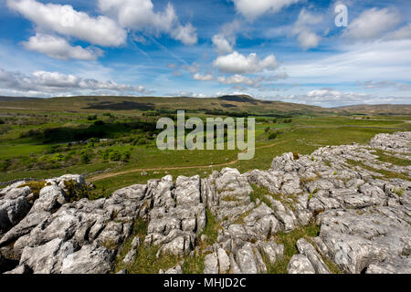 Whernside; von souther Skalen National Nature Reserve, Yorkshire, UK Stockfoto