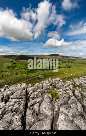 Whernside; von souther Skalen National Nature Reserve, Yorkshire, UK Stockfoto