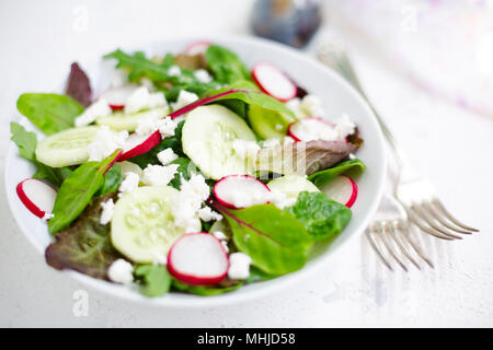 Gemischter Salat mit Baby aus der roten Salat, tatsoi, Rucola, Roter Mangold, Radieschen, Gurken und Fetakäse mit Olivenöl und Balsamico Dressing Stockfoto