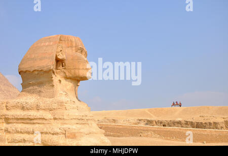 Sphynx Profil Pyramide Gizeh Ägypten Stockfoto
