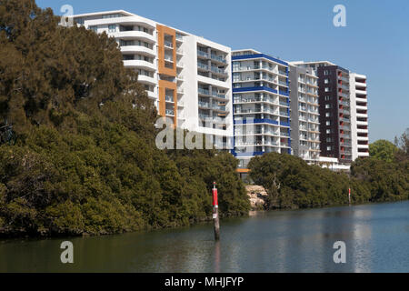 Riverside Apartments Parramatta Parramatta River in New South Wales, Australien Stockfoto