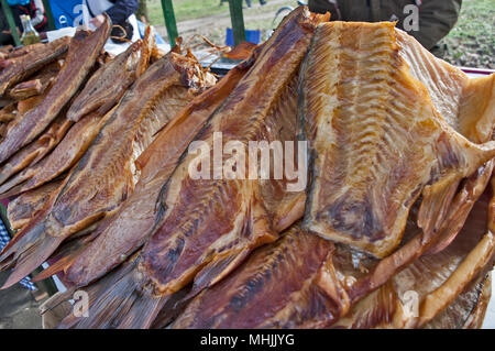 Die Spezialität der Fischmarkt Karpfen geräuchert und getrocknet. Stockfoto