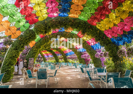 Ein Regenschirm und floralen Picknickschutz am Wunder Gärten in Dubai, Vereinigte Arabische Emirate, Naher Osten. Stockfoto