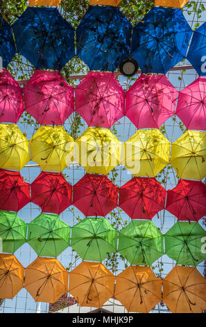 Ein Regenschirm und floralen Picknickschutz am Wunder Gärten in Dubai, Vereinigte Arabische Emirate, Naher Osten. Stockfoto