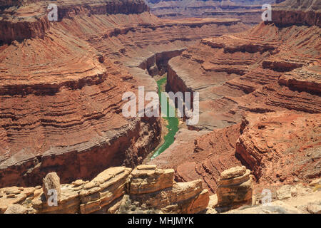 Marble Canyon des Colorado River im Buck farm Canyon Area des Grand Canyon National Park, Arizona Stockfoto