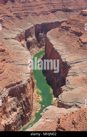 Marble Canyon des Colorado River im Buck farm Canyon Area des Grand Canyon National Park, Arizona Stockfoto