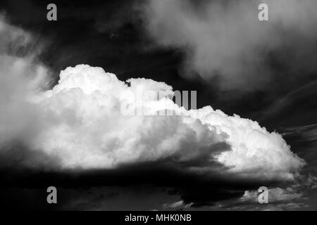 Schwarz-weiß-Ansicht von cumulus Wolken gegen eine klare Colorado sky Stockfoto