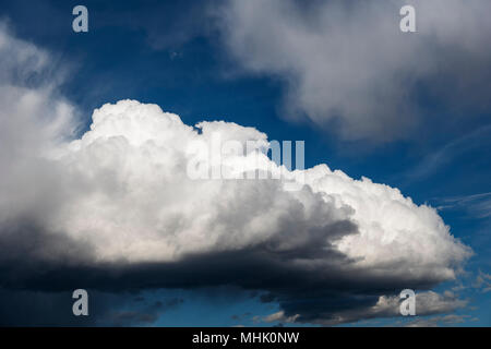 Cumulus Wolken gegen einen klaren, blauen Himmel Colorado Stockfoto